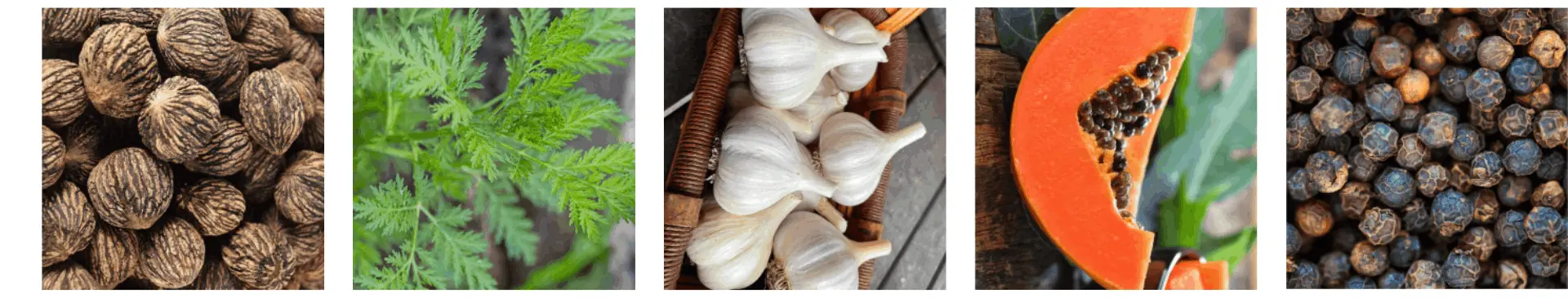 benefits of Para911 Parasites Cleanse Drops